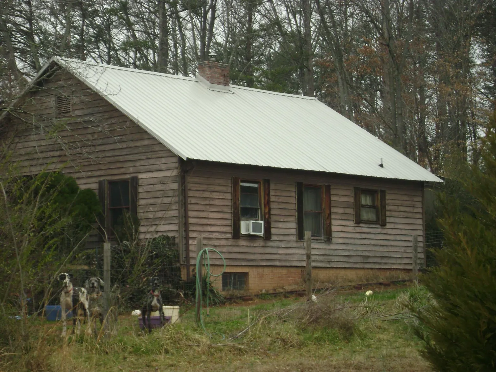 White metal roof on an old wood sided farmhouse, from a Asphalt Shingle Roof Repair job in Vincent